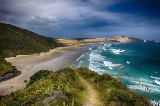 Kids Love Travel: New Zealand